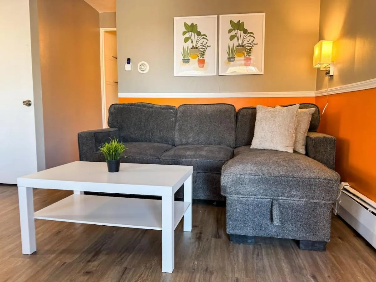 Casa vacanze 8 Large Apartments With 12 Bedrooms And Parking And Wifi Pittsburgh Stati Uniti